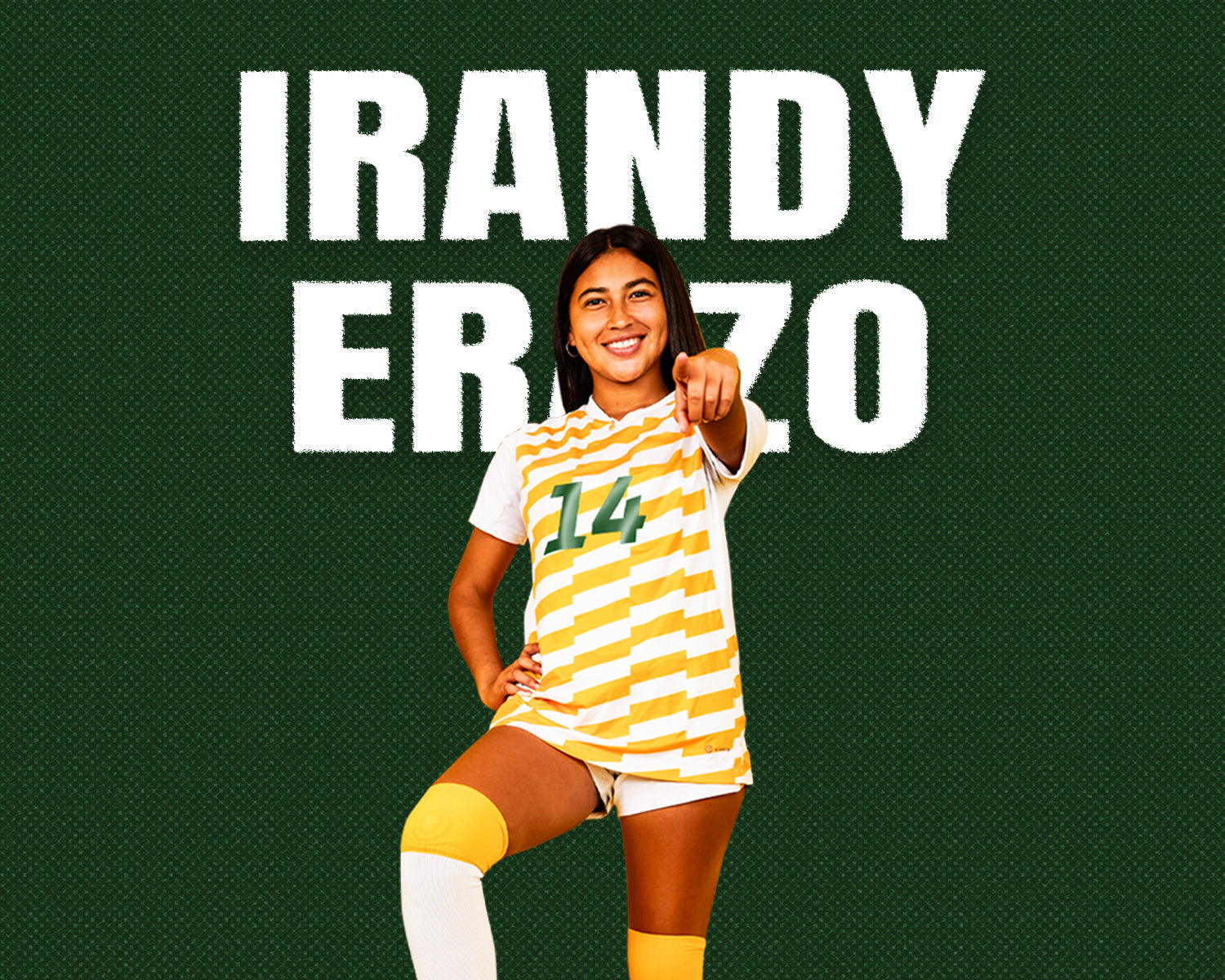 Irandy Erazo